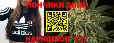 гашик Тулун