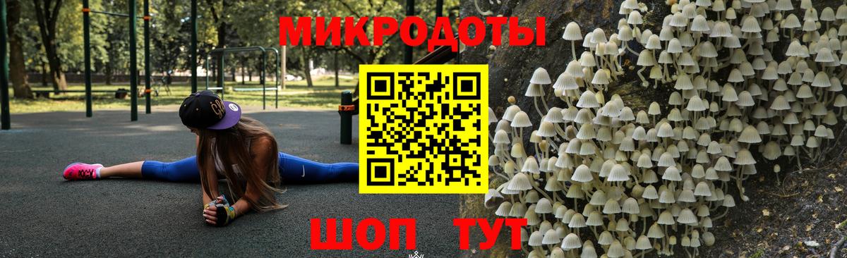 Псилоцибиновые грибы GOLDEN TEACHER  купить наркоту  Асбест  Вход с VPN  Псилоцибиновые грибы мухоморы 